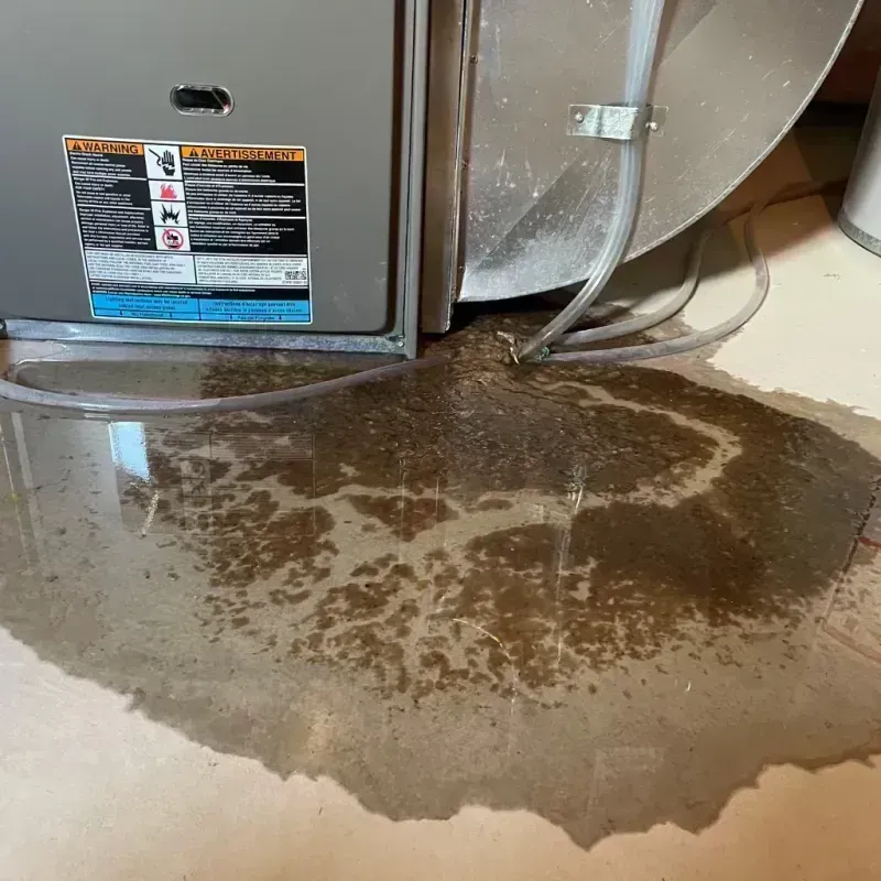 Appliance Leak Cleanup in Wellsville, UT